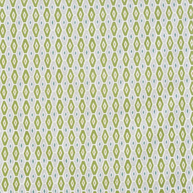 Prestigious Textiles Karaz Fabric Cactus