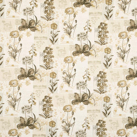 Wild Flower Curtain Fabric Pumice