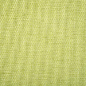 Nirvana Fabric Apple