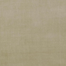 Clarke & Clarke Alvar Velvet Fabric Lark