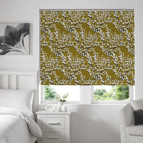 Florida Roman Blind Mimosa