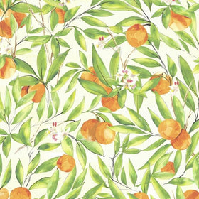 Seville Fabric Orange