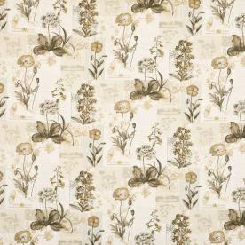 Wild Flower Curtain Fabric Pumice