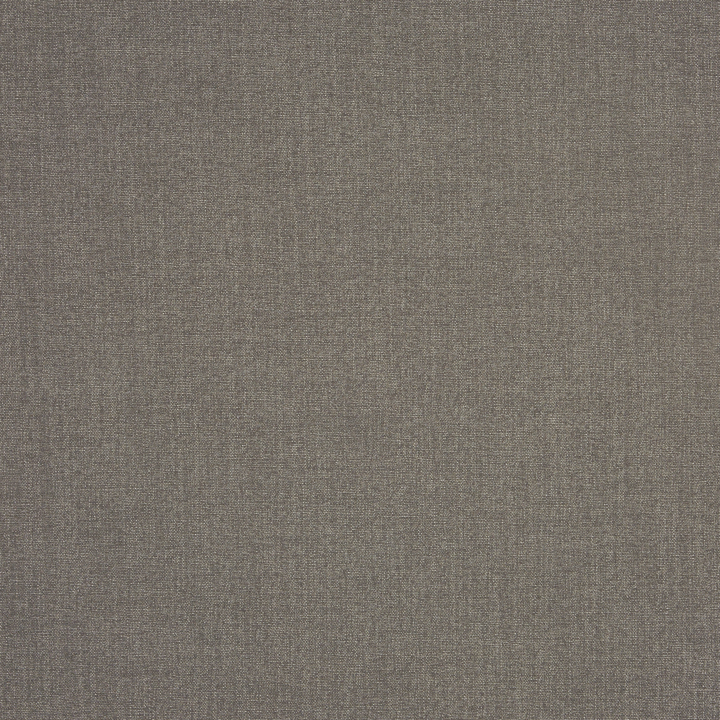 Prestigious Textiles Saxon Fabric Earth
