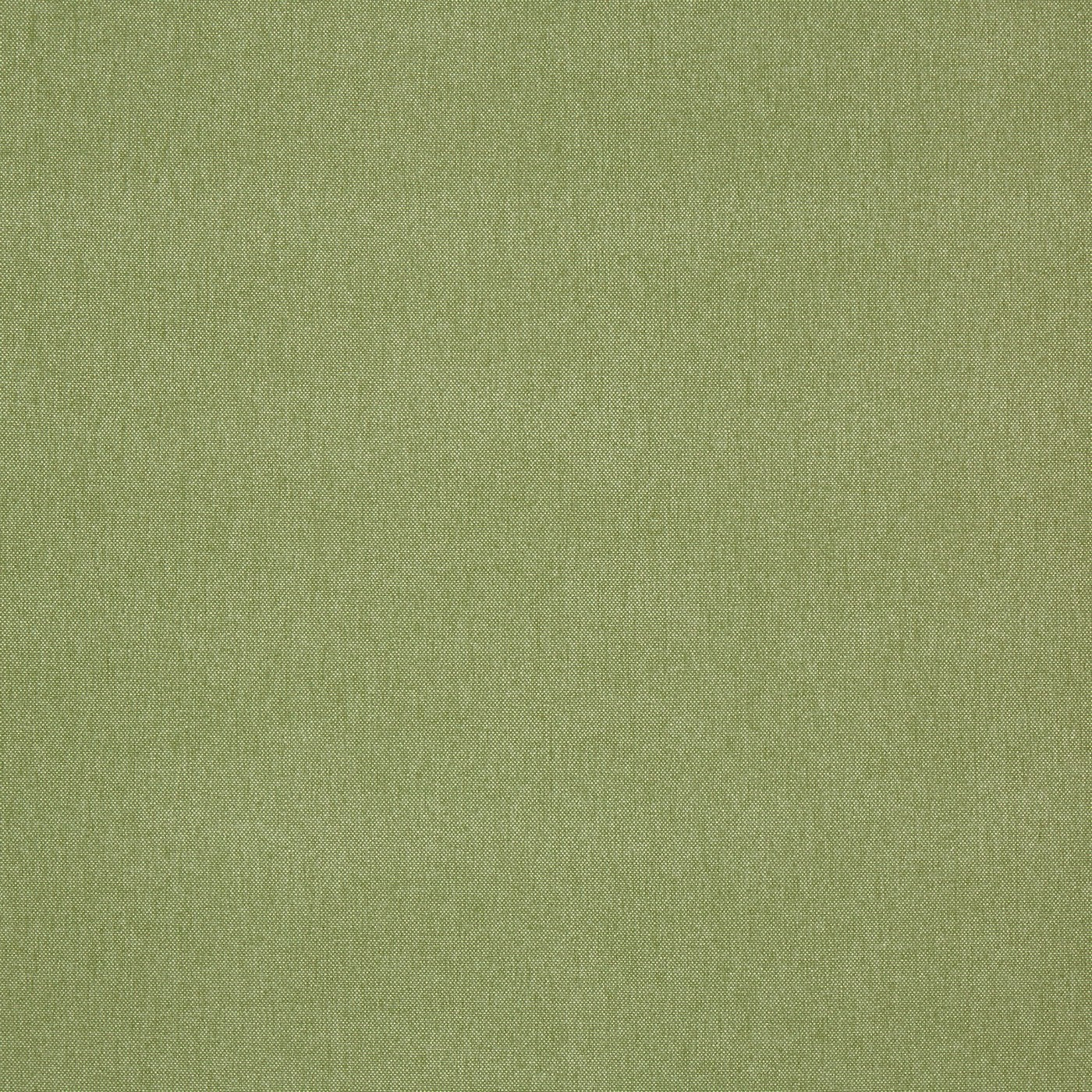 Prestigious Textiles Buxton Fabric Apple