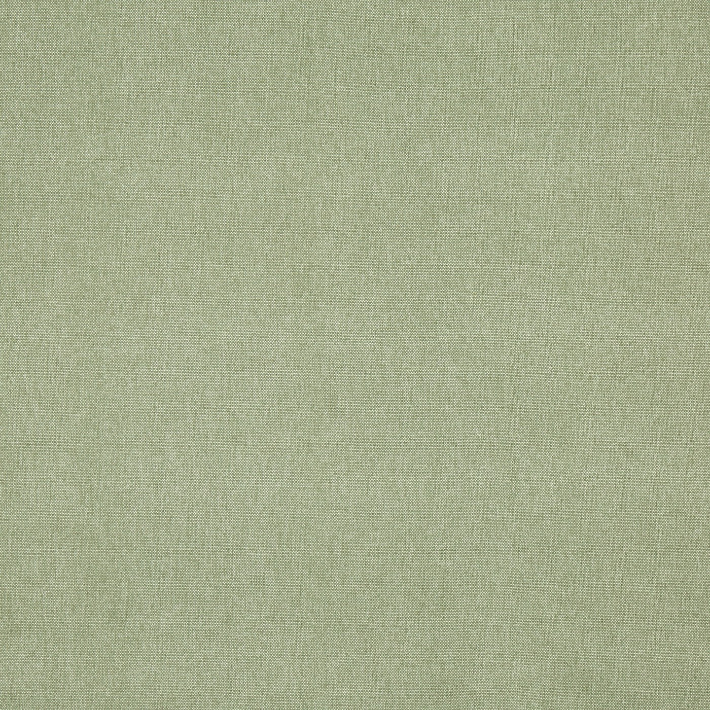 Prestigious Textiles Buxton Fabric Basil