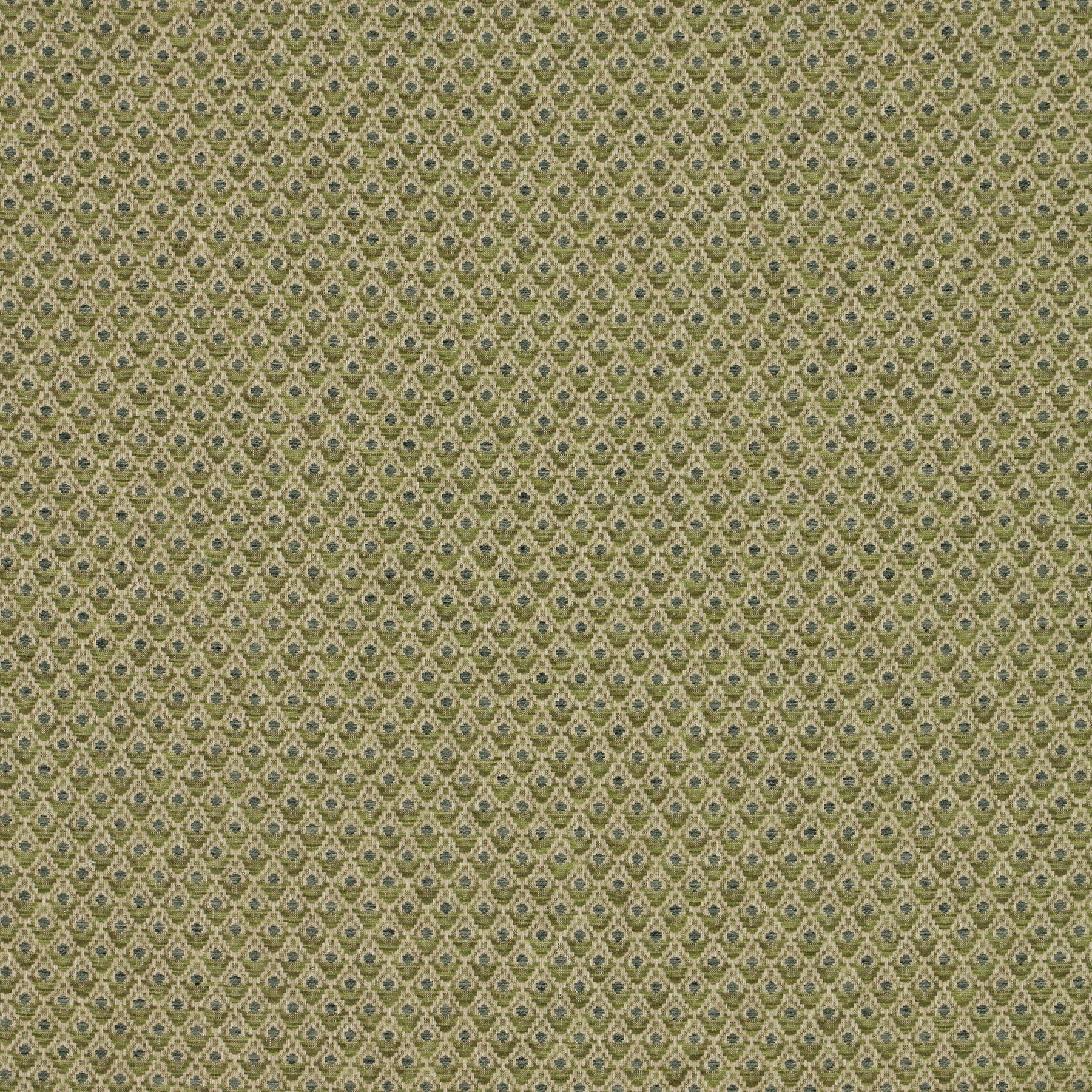 iLiv Alps Fabric Hunter