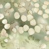 Lunaria Fabric Green