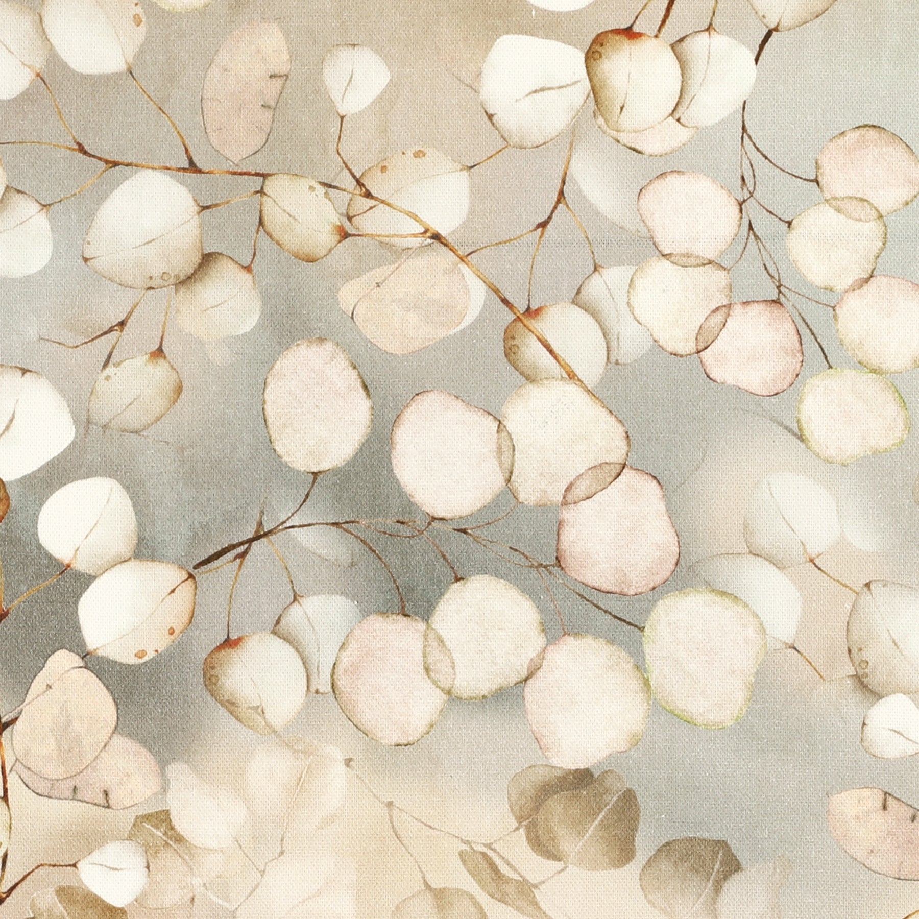 Lunaria Fabric Peach Fuzz