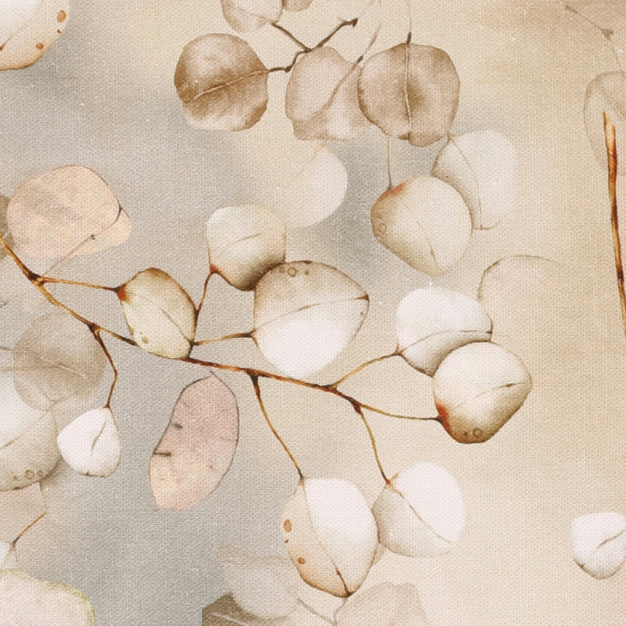 Lunaria Fabric Peach Fuzz