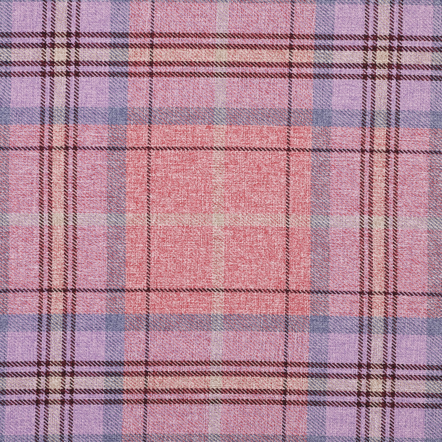 Glencoe Fabric Bichon