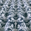 Pantera Fabric Indigo
