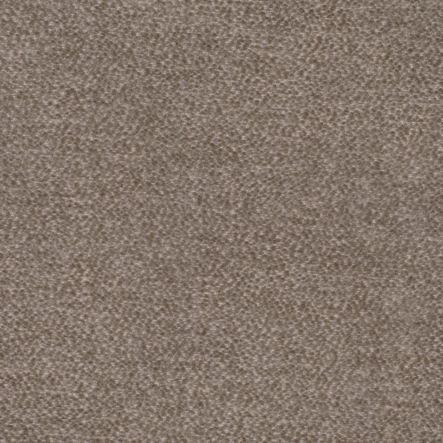 Linda Barker Rica Fabric Antelope