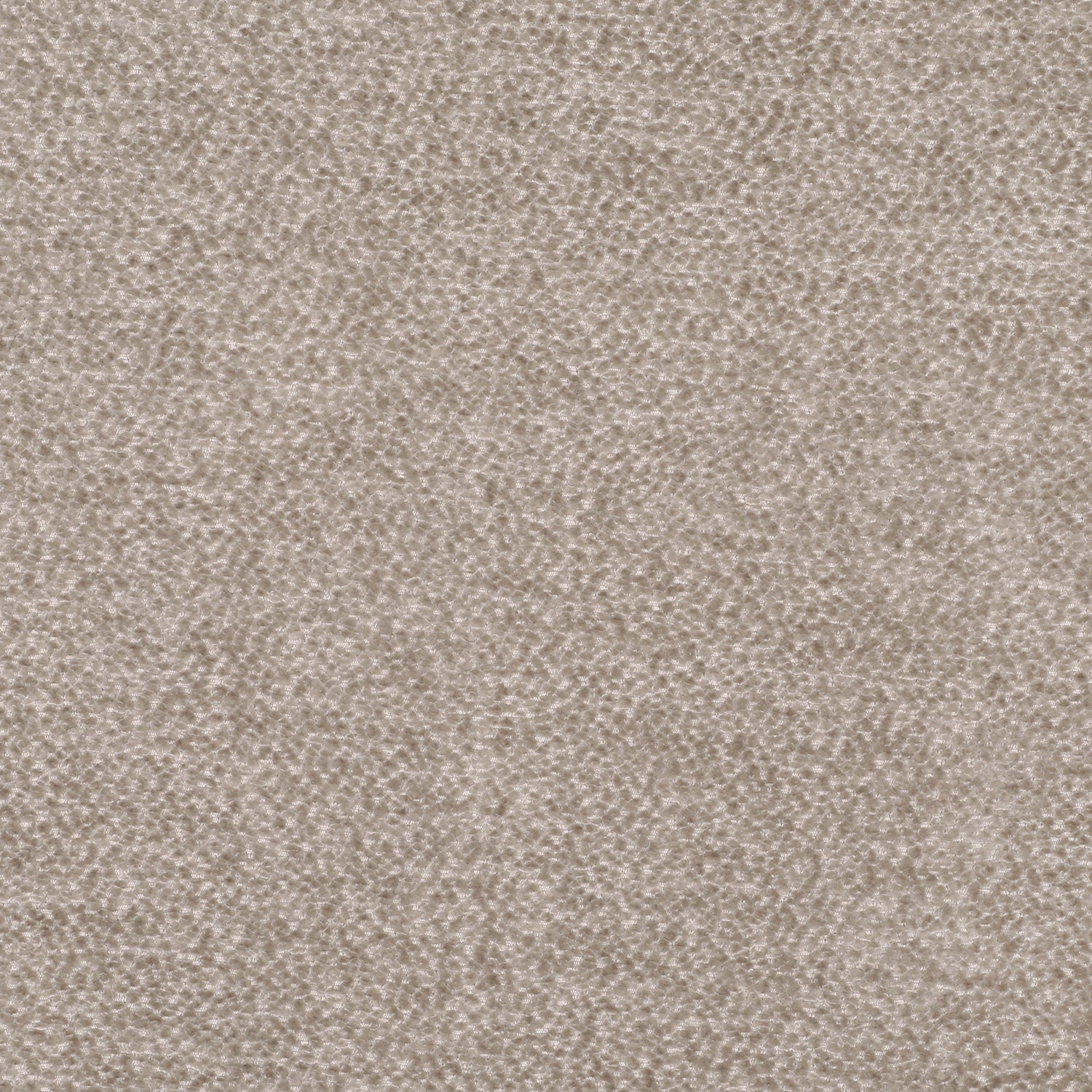 Linda Barker Rica Fabric Dove