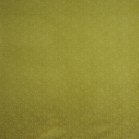 Prestigious Textiles Crater Fabric Wasabi
