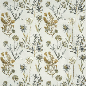 Allium Curtain Fabric Ember