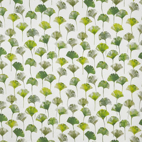 Prestigious Textiles Camarillo Fabric Cactus