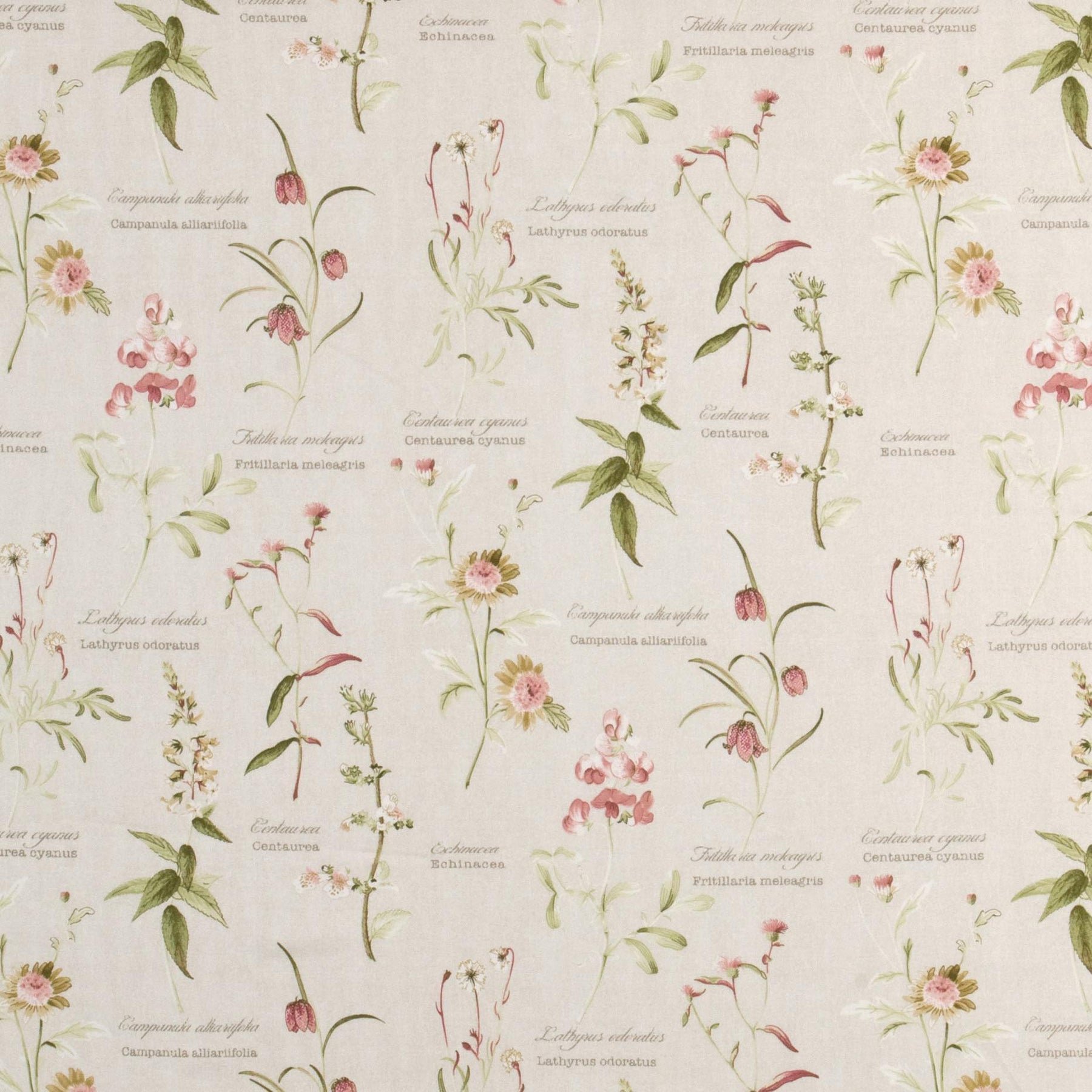 Botanical Gardens Curtain Fabric Roll End 1 Spring