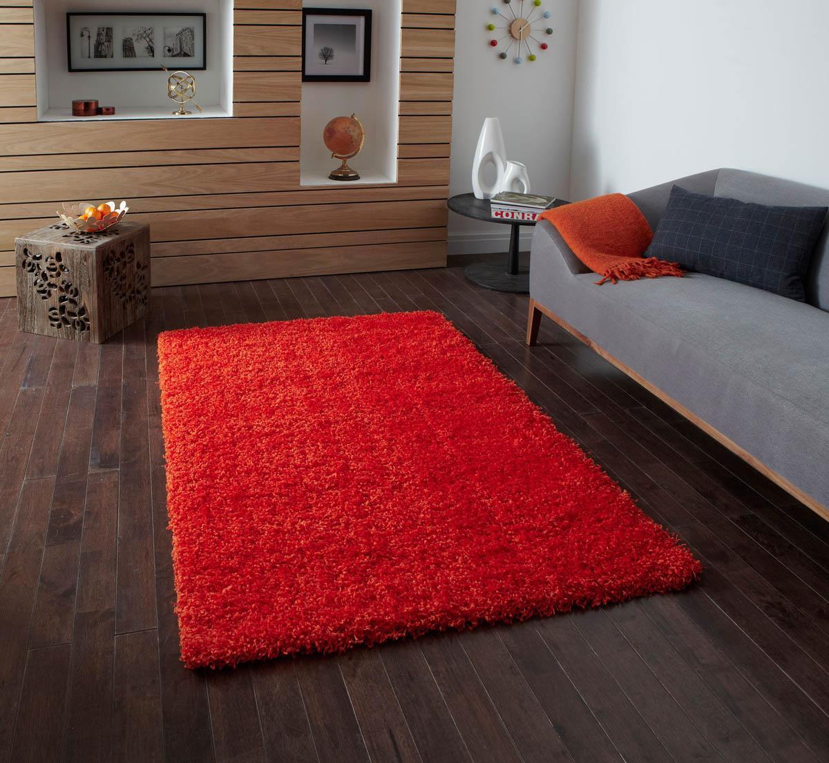 Vista 2236 Rug Orange