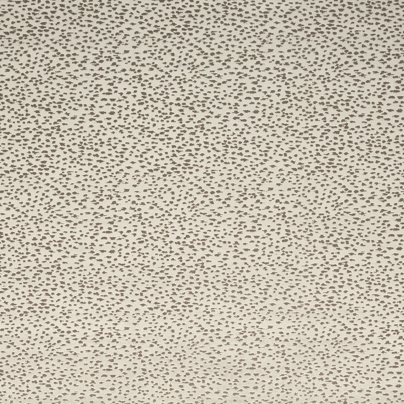 Clarke & Clarke Astral Fabric Stone