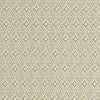 iLiv Aztec Fabric Pampas
