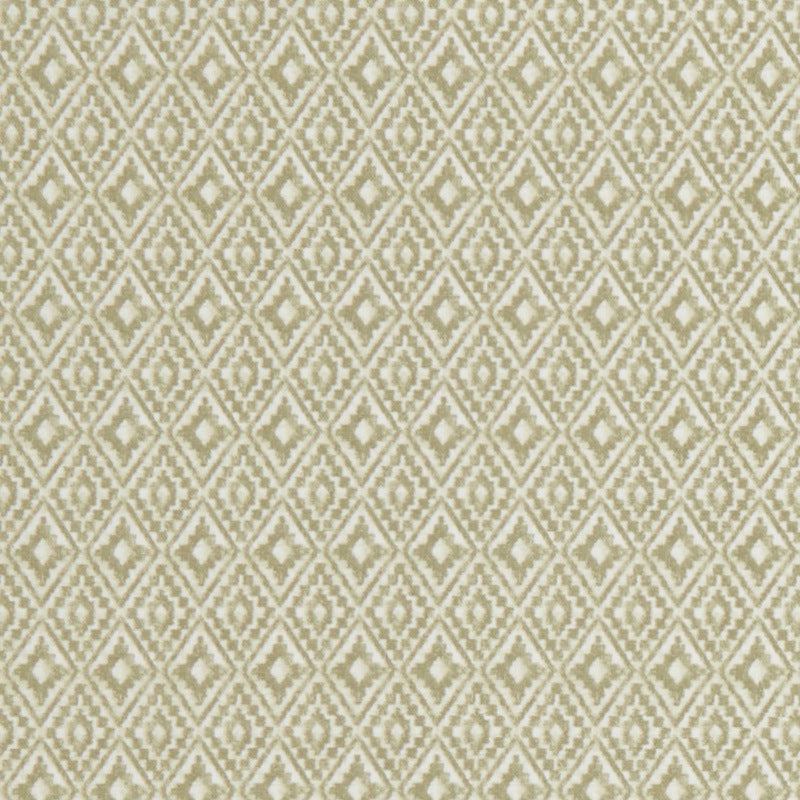 iLiv Aztec Fabric Pampas