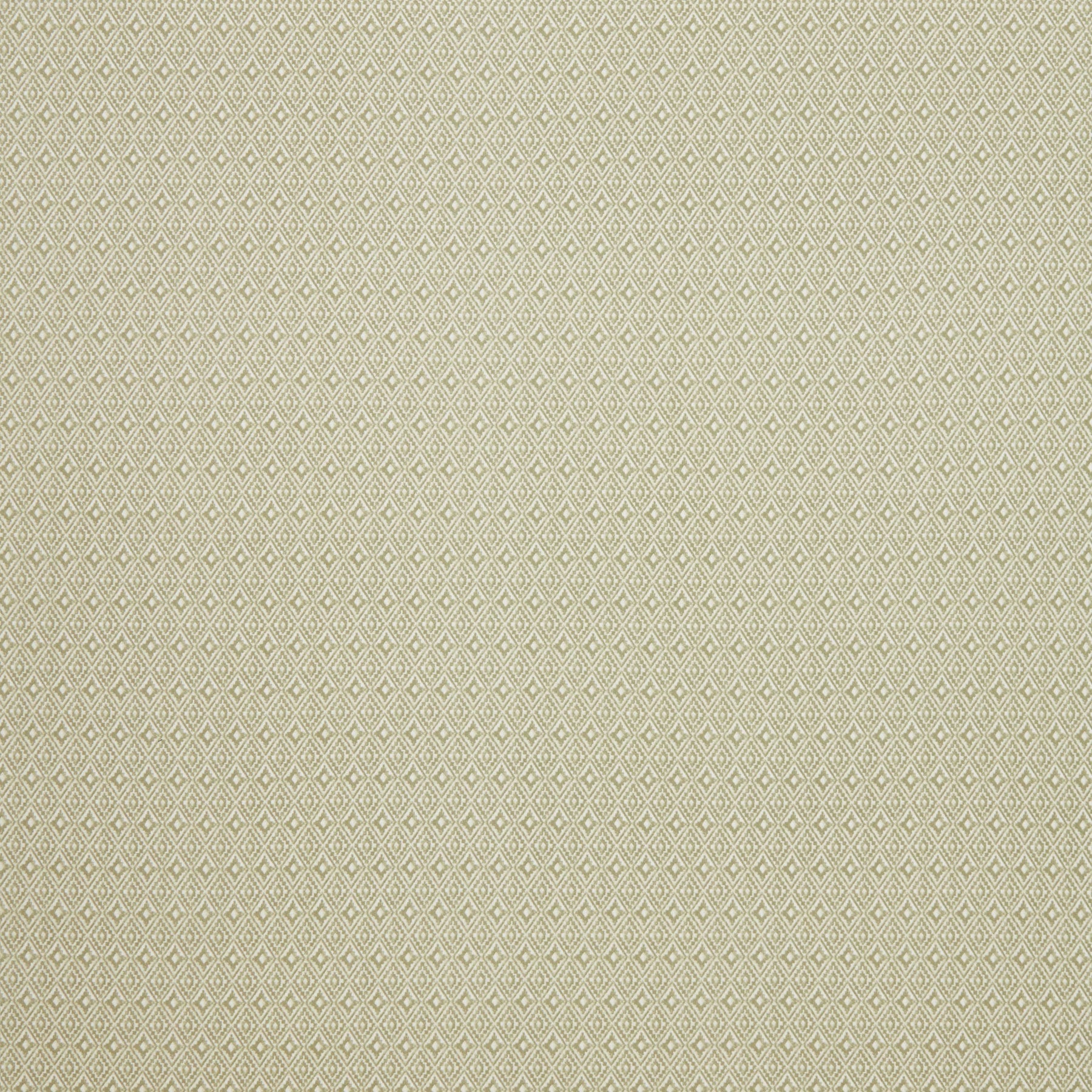 iLiv Aztec Fabric Pampas