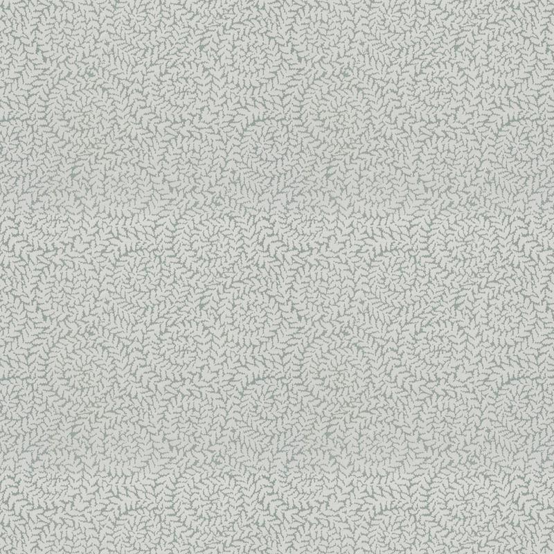 Chester Roman Blind Mimosa