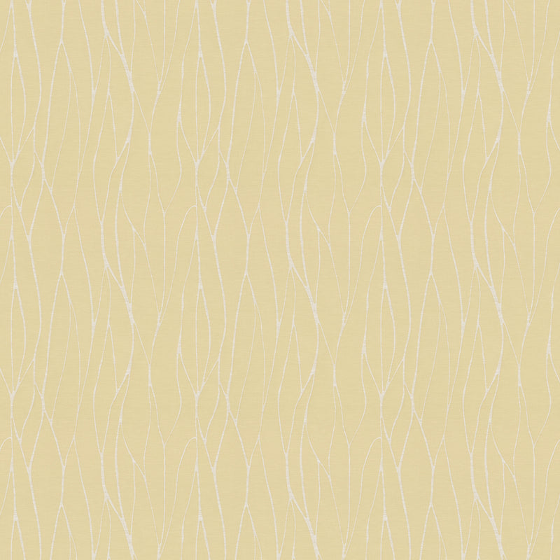 Burst Roman Blind Zest