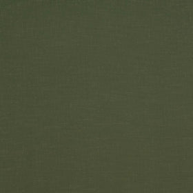 Carnaby Silk Effect Fabric Sage Sage