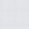 Chester Roman Blind Silver