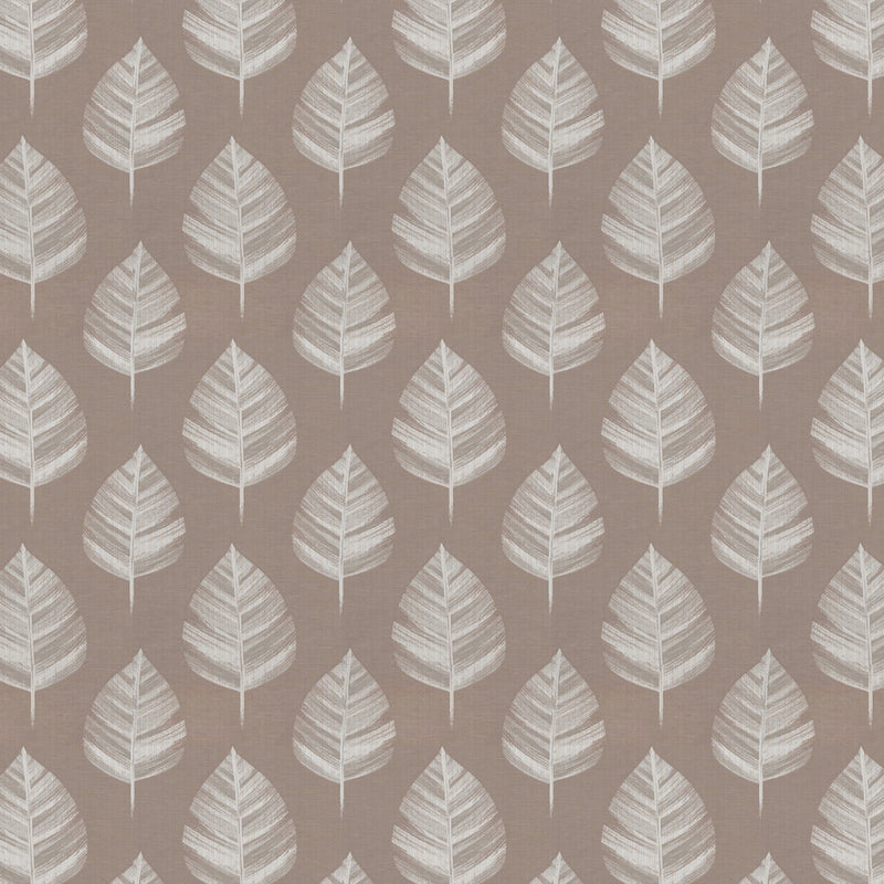 Cruz Roman Blind Blush