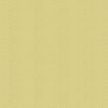 Dakota Roman Blind Zest