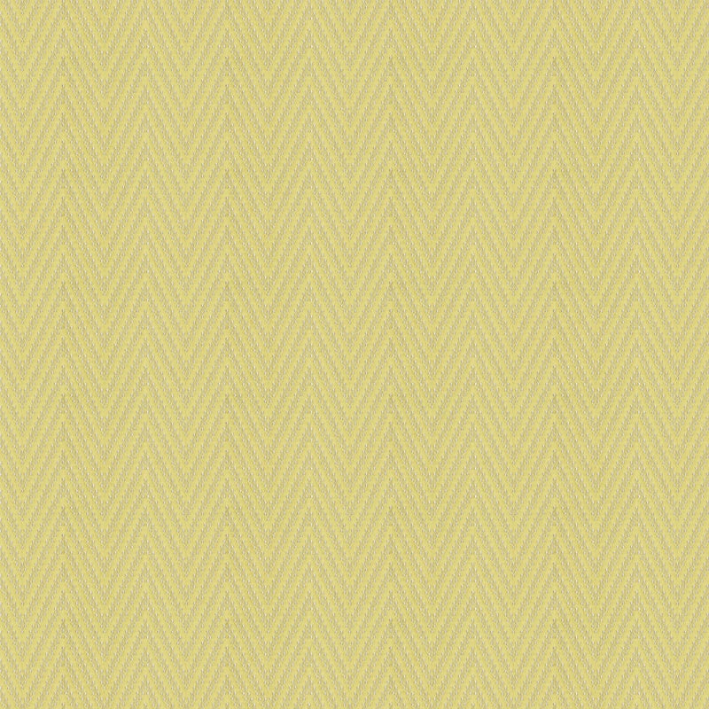 Dakota Roman Blind Zest