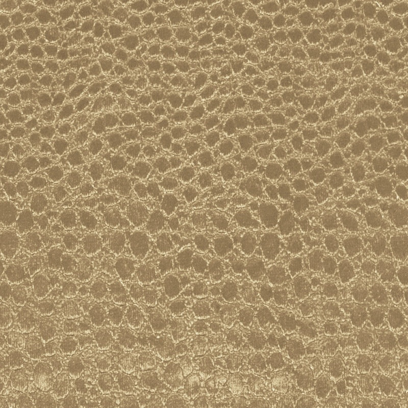 Clarke & Clarke Pulse Fabric Antique