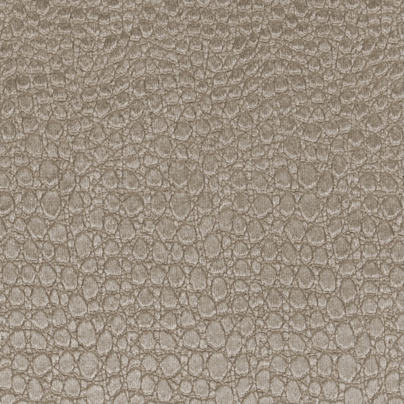Clarke & Clarke Pulse Fabric Ash