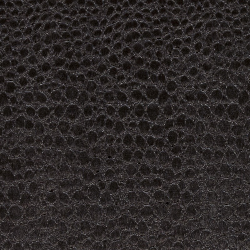 Clarke & Clarke Pulse Fabric Jet