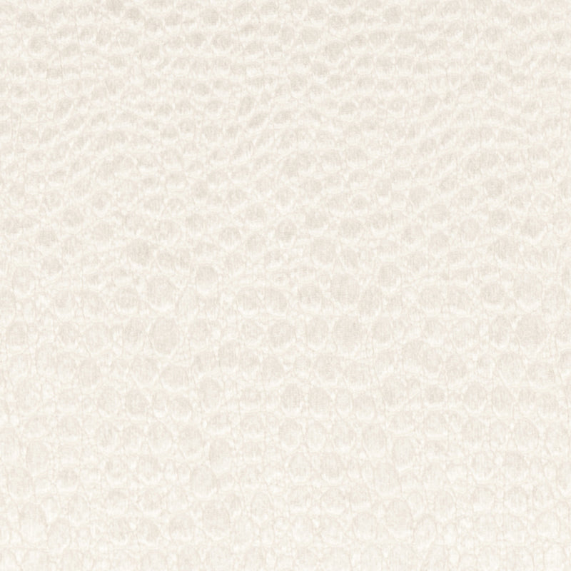Clarke & Clarke Pulse Fabric Pearl