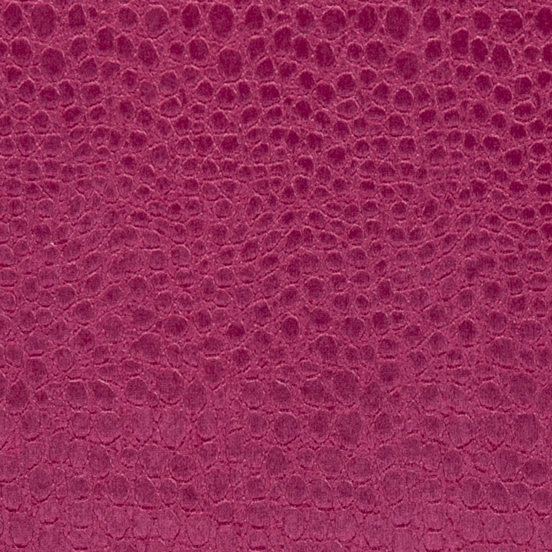 Clarke & Clarke Pulse Fabric Sorbet