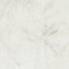 Clarke & Clarke Sylvana Fabric Oyster