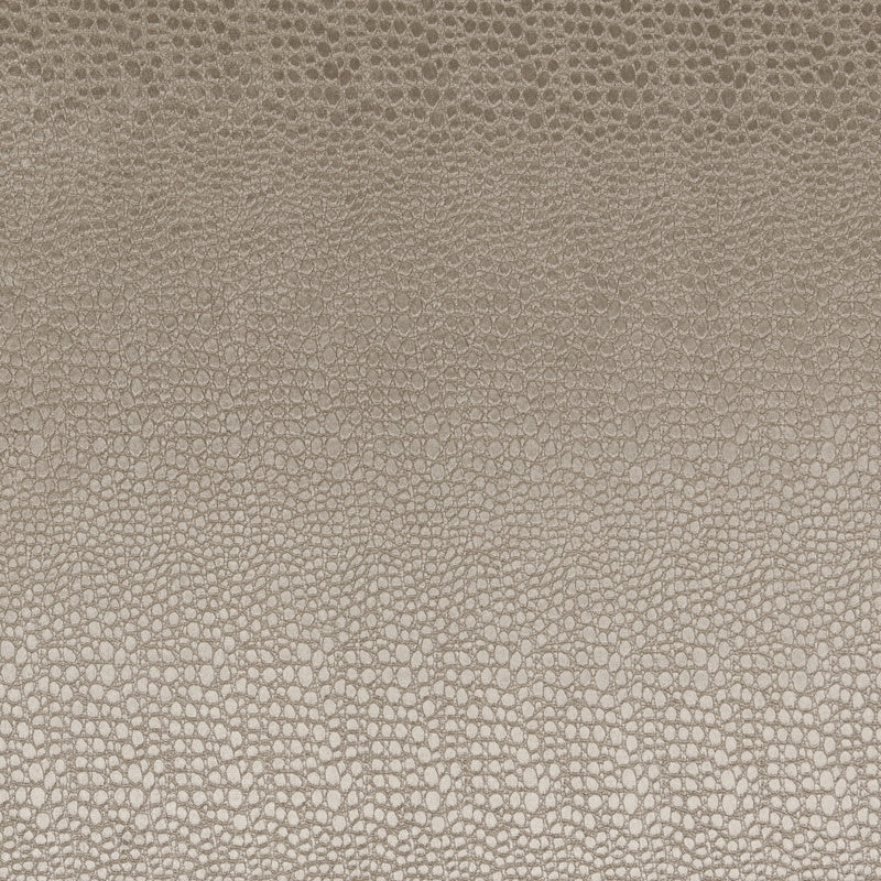 Clarke & Clarke Pulse Fabric Ash