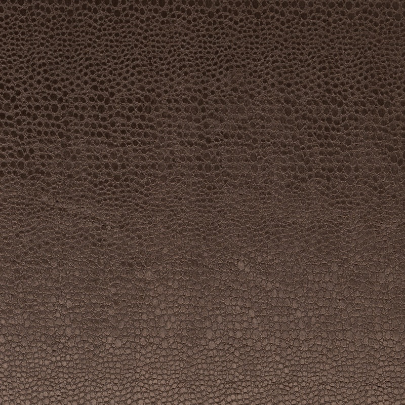 Clarke & Clarke Pulse Fabric Espresso