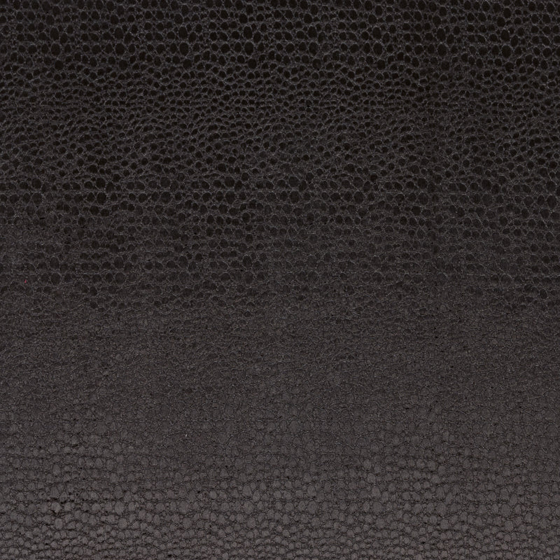 Clarke & Clarke Pulse Fabric Jet