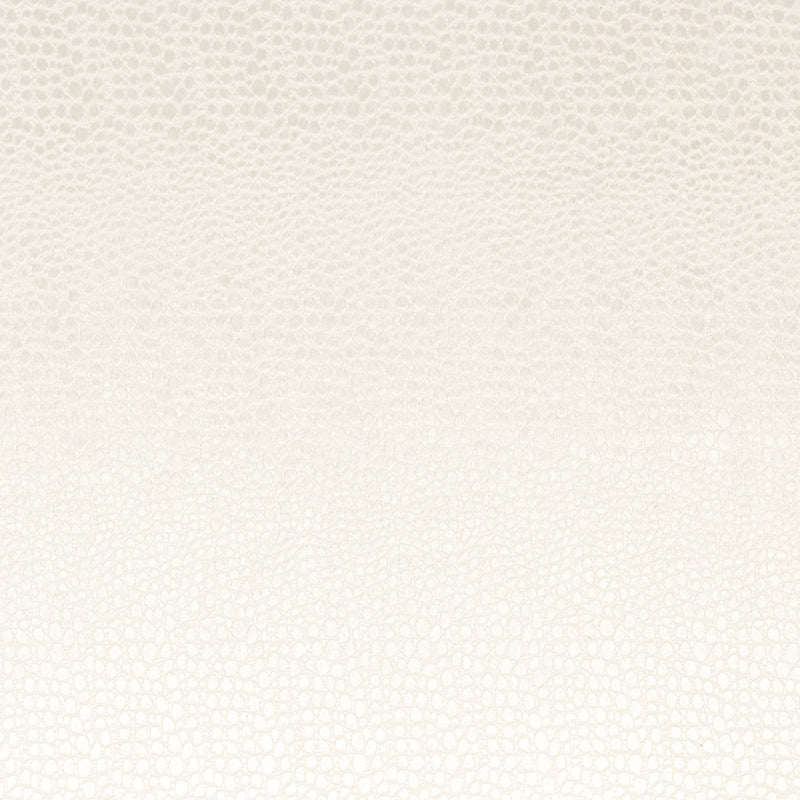 Clarke & Clarke Pulse Fabric Pearl