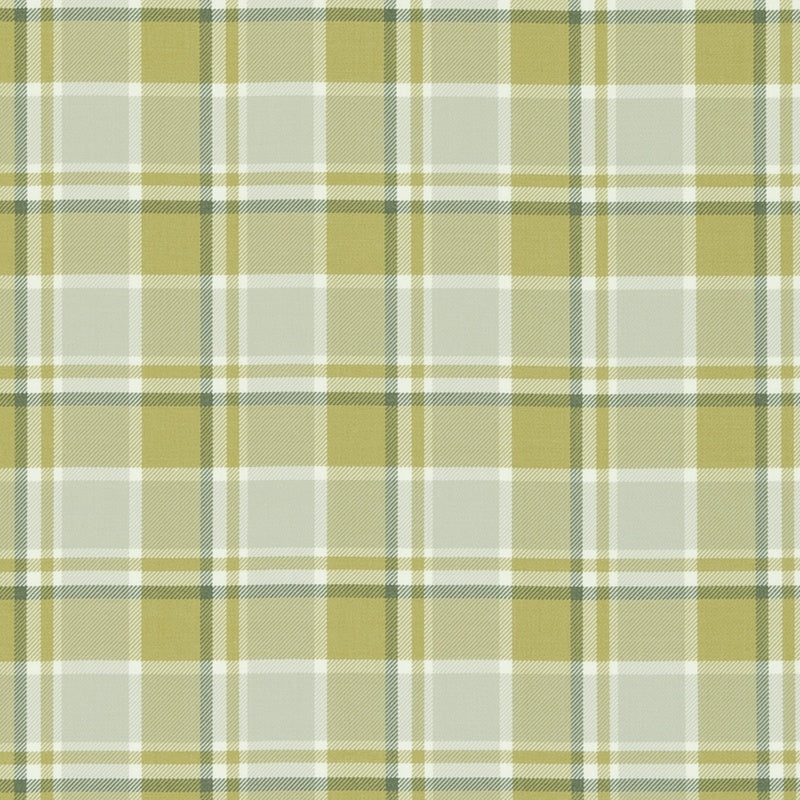 Clarke & Clarke Bowland Fabric Citrus