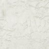 Clarke & Clarke Sylvana Fabric Oyster