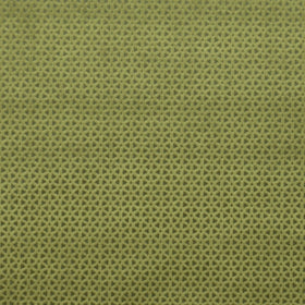 Clarke & Clarke Loreto Fabric Olive