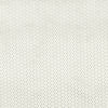 Clarke & Clarke Loreto Fabric Stone