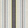 Clarke & Clarke Luella Fabric Charcoal / Chartreuse
