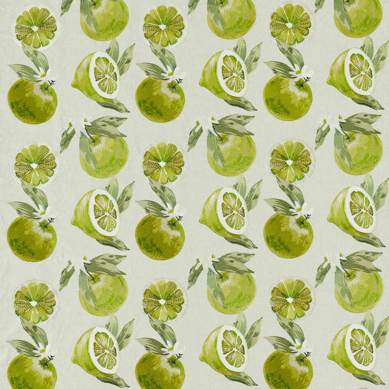 Agrias Curtain Fabric Lime